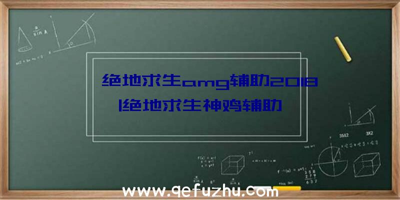 「绝地求生amg辅助2018」|绝地求生神鸡辅助